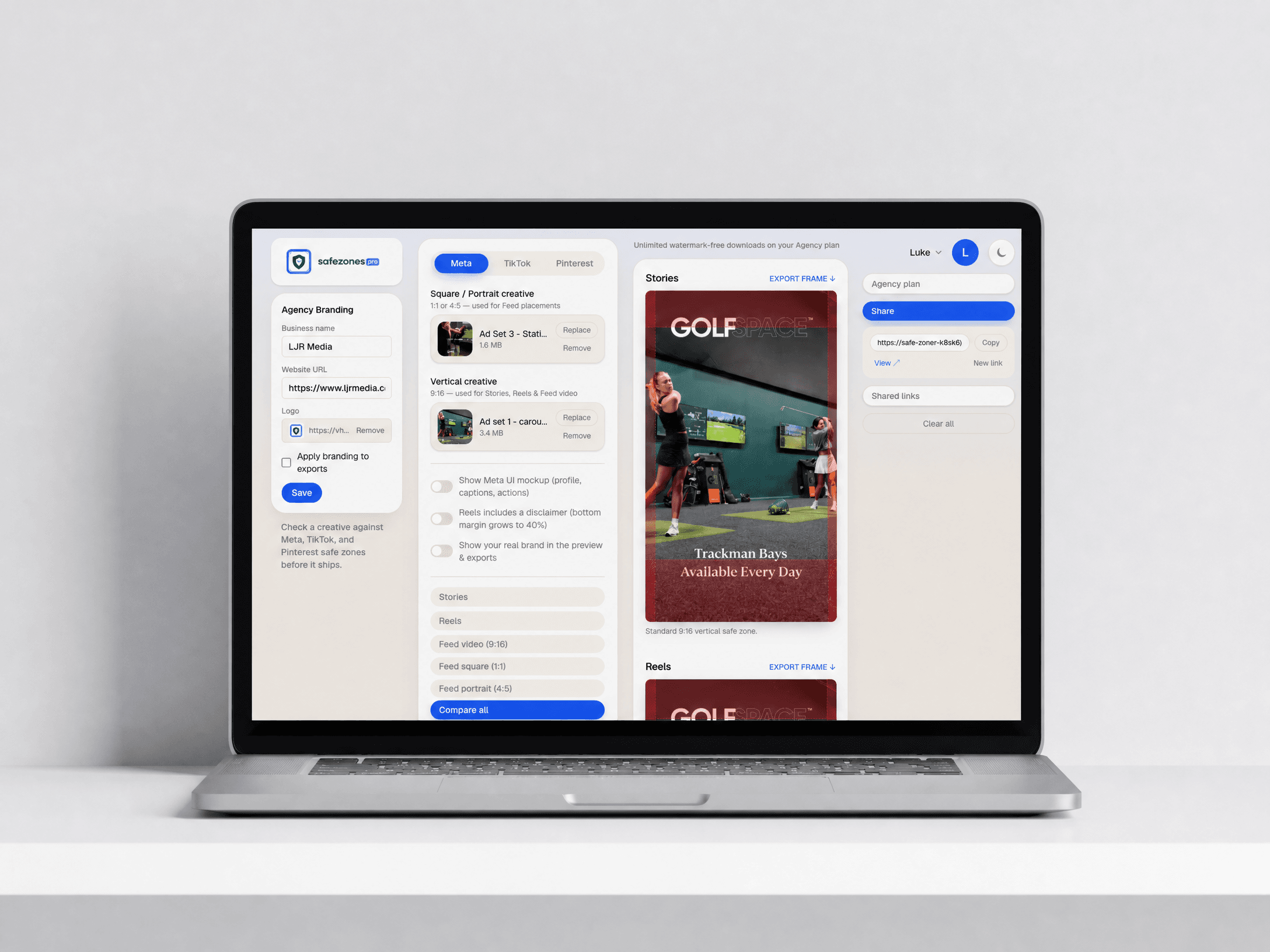 What the client sees when they open a share link — placement list and the checked creative
